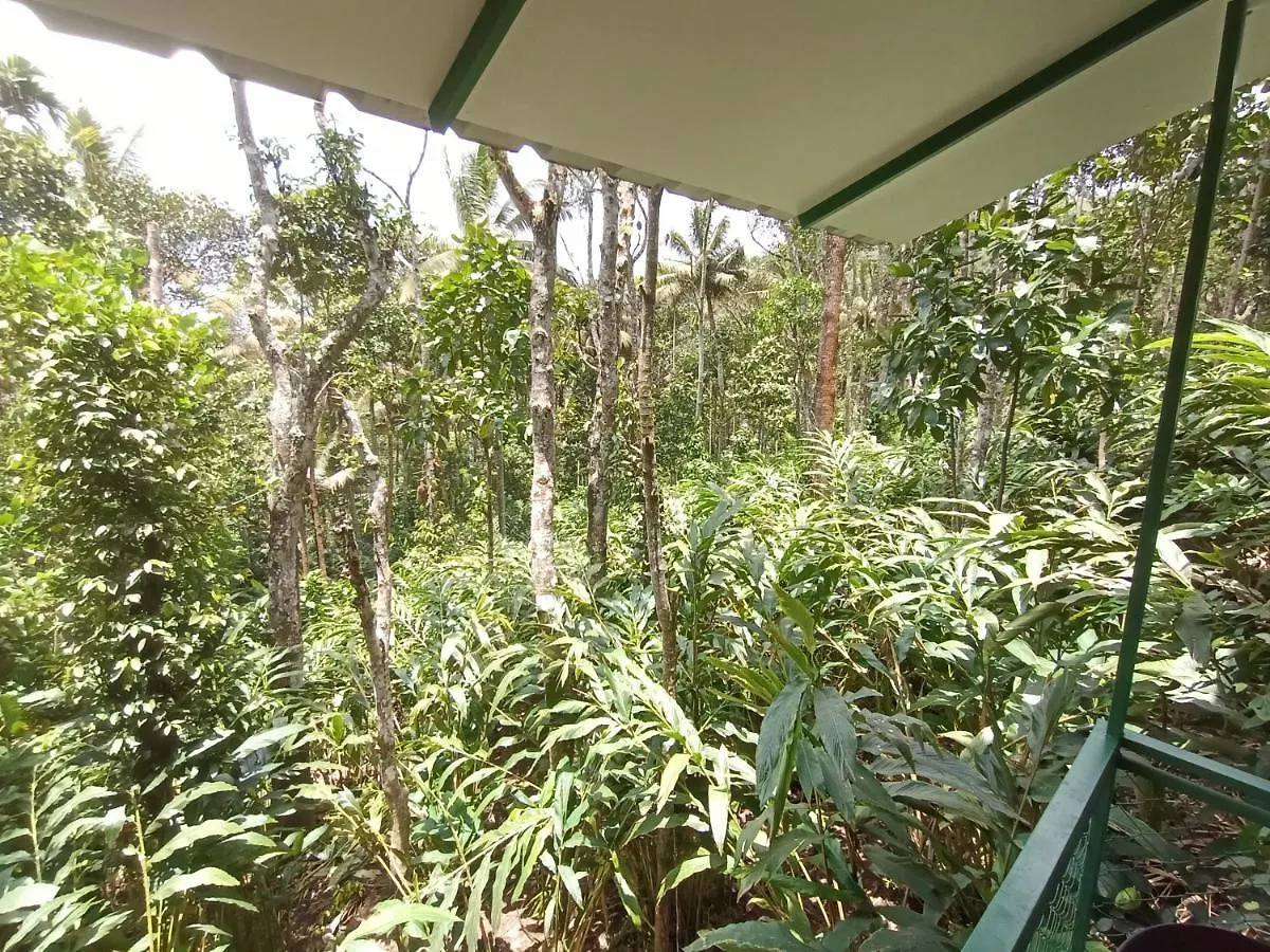 Spicebuds Farmstay - Ramakkalmedu Idukki 0*,  India